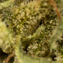 Load image into Gallery viewer, Umpqua CBD