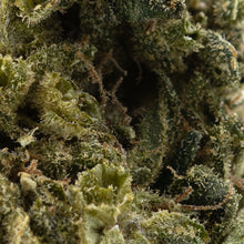 Load image into Gallery viewer, Zweet Cherry OG Limited