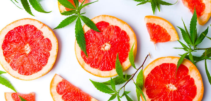 The Citrusy Secret of Cannabis: An In-Depth Look at Limonene