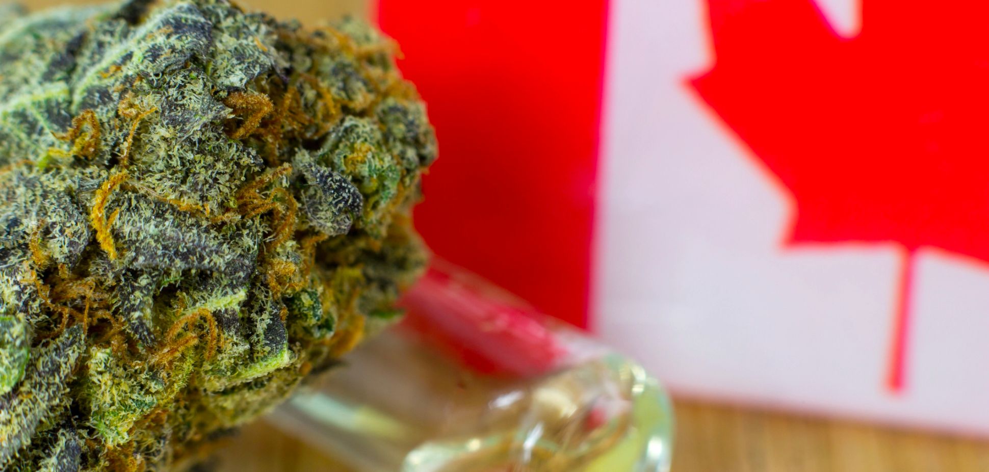Behind the Hype: What's Really Happening in Canada's Cannabis Industry