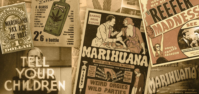 The History of Cannabis: From Ancient Civilizations to Modern-Day