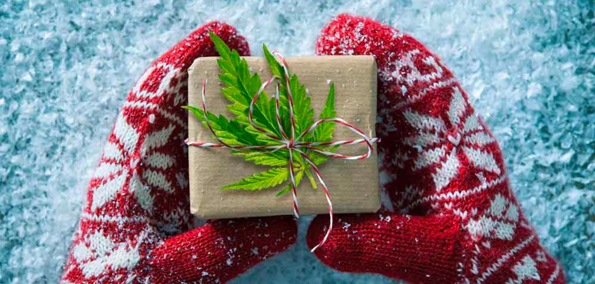A Cannabis User’s Guide to the Holiday Season