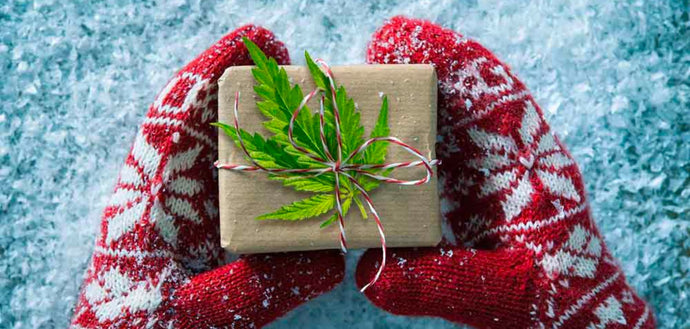 #11: A Cannabis User’s Guide to the Holiday Season