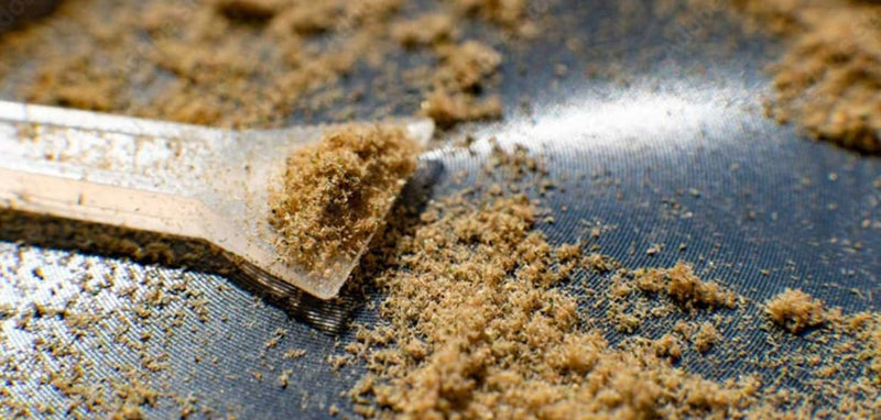 #199 Kief: The Fine Art of Cannabis Trichomes