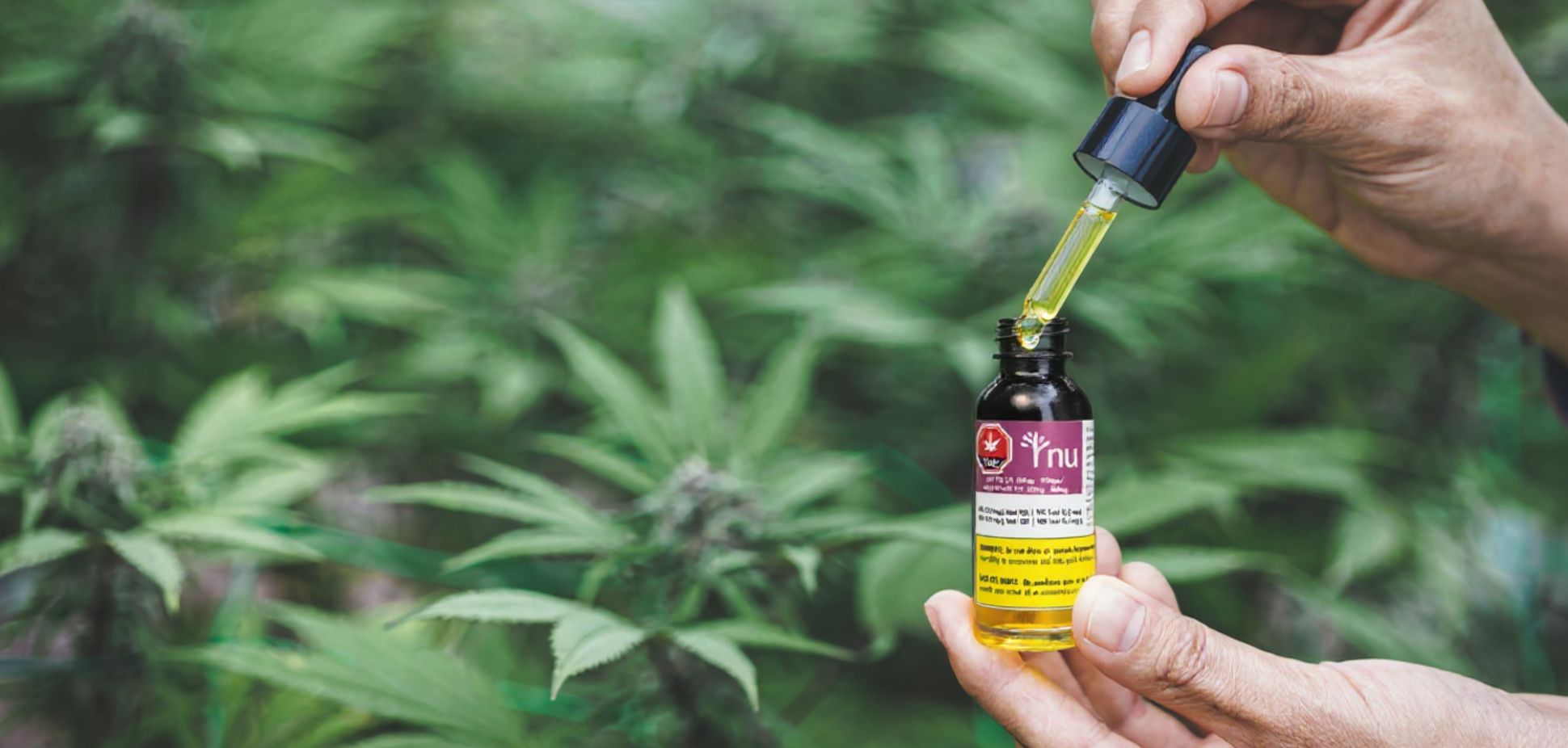 #152: The Goldilocks Zone of Cannabis: How to Find the Dose That’s “Just Right”