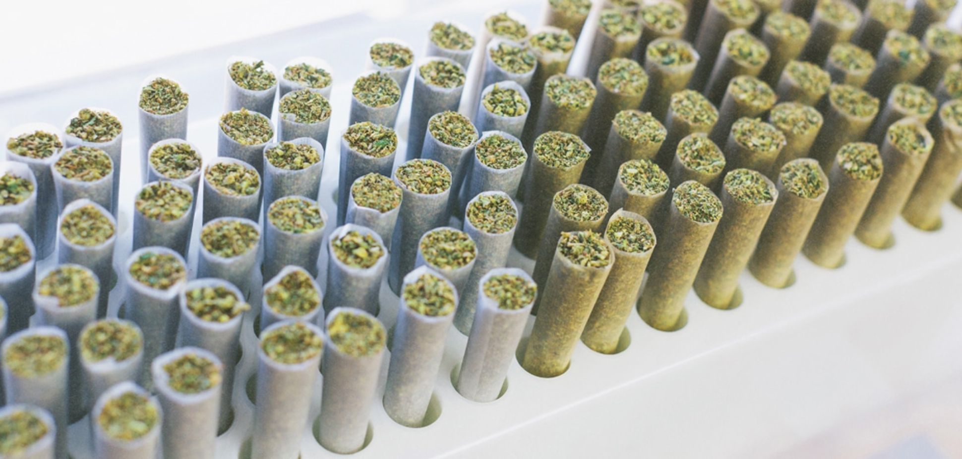 #145: Joint or Cone? How to Choose the Right Pre-Roll for You