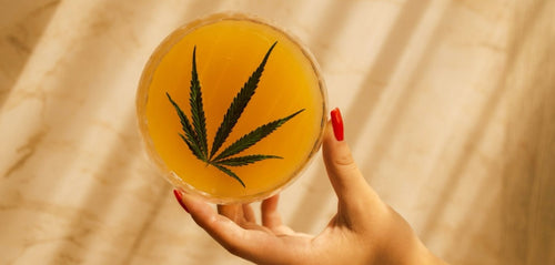 #159: New Year, New Buzz: Inside the California Sober Lifestyle