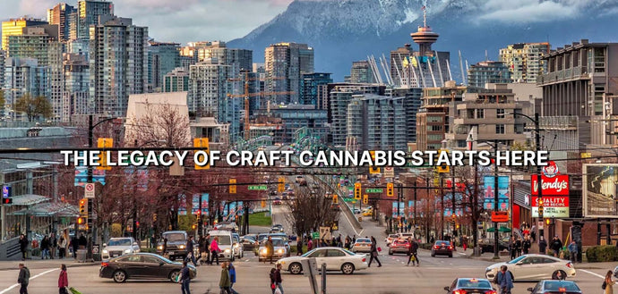 #150: Why We Cut 300 Products (and Why You’ll Thank Us for It)