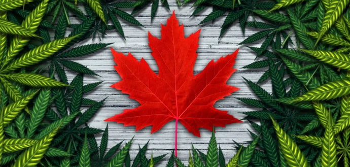 #149: Legalization Turns Seven: The Highs, the Lows, and the Lessons Learned