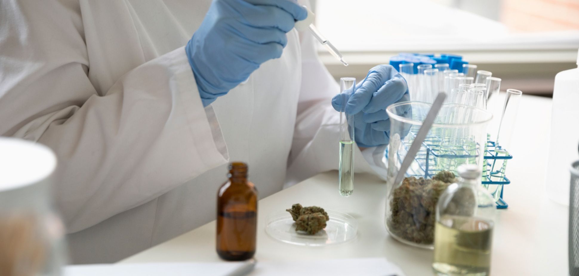 #189: What Cannabis Really Treats: Conditions Supported by Research