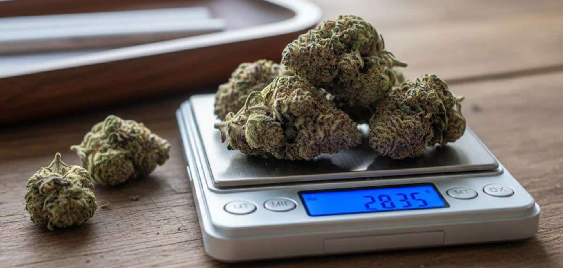 #202 Cannabis Overdose: How Much Is Too Much?