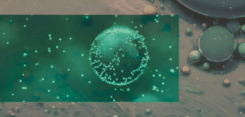 #167: Nano Edibles Explained: Why They Hit Faster (and Feel Stronger)