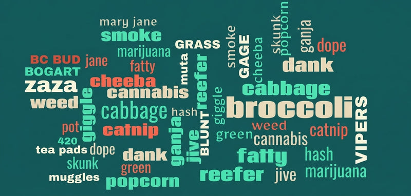 #194 From Vipers to Zaza: A Century of Cannabis Slang