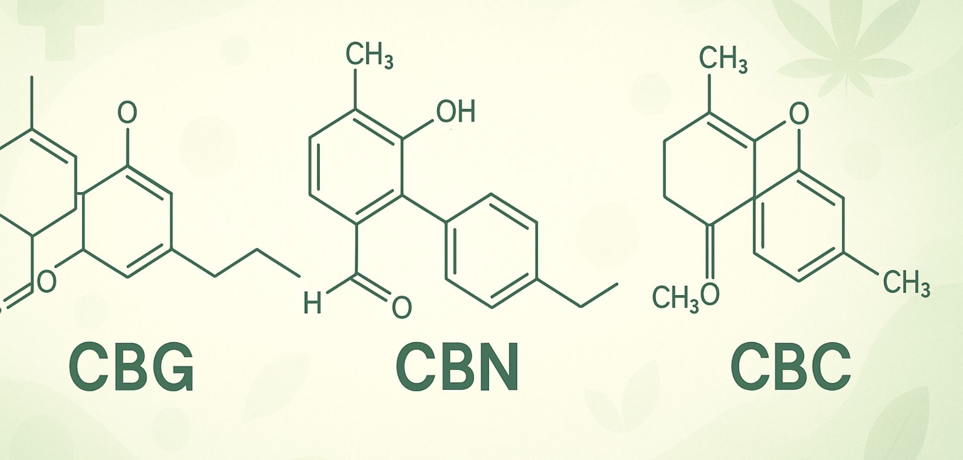 #142: Minor Cannabinoids, Major Impact: The Next Frontier in Cannabis Medicine
