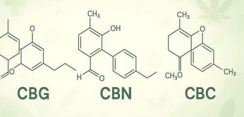 #142: Minor Cannabinoids, Major Impact: The Next Frontier in Cannabis Medicine