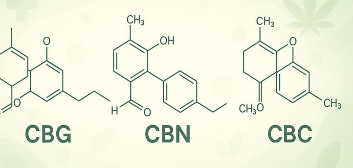 #142: Minor Cannabinoids, Major Impact: The Next Frontier in Cannabis Medicine