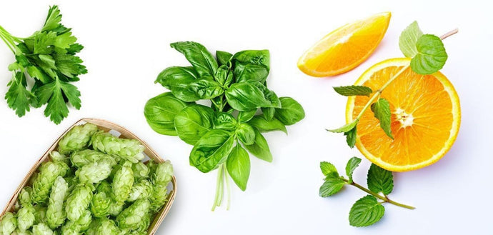 #135: Meet Ocimene: The Sweet, Energizing Terpene You Didn’t Know You Loved