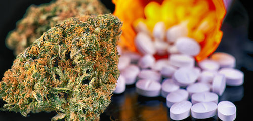 #141: Medical Cannabis and Opioid Replacement: Harm Reduction Strategies