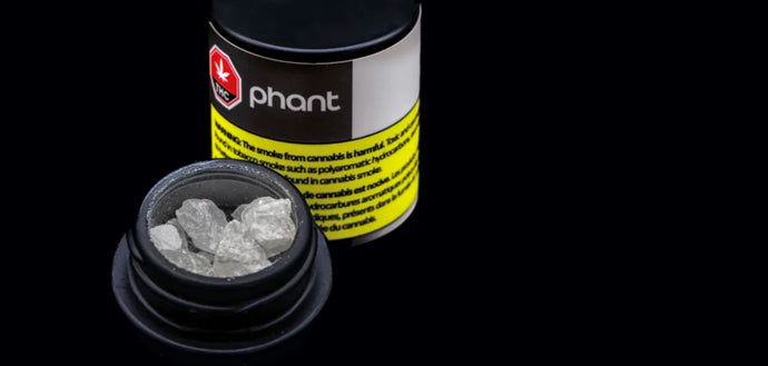 Behind the Scenes at Phant Extracts: An Exclusive Look Inside