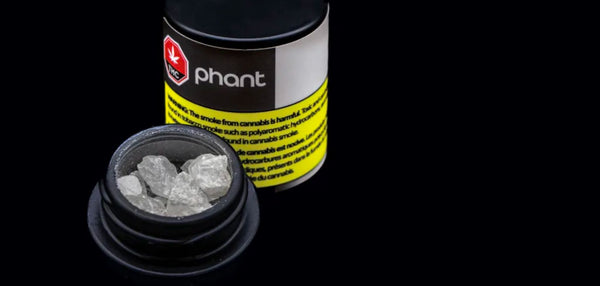 #26: Behind the Scenes at Phant Extracts: An Exclusive Look Inside