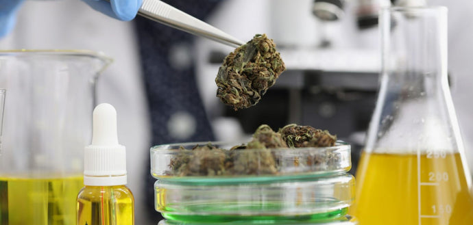 #129: Know What You Smoke: How to Read a Cannabis COA