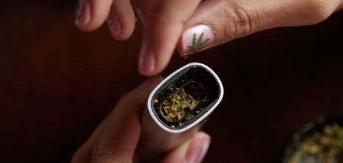 #144: Finding Your Sweet Spot: Best Temperatures for Vaping Weed