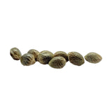 Seeds