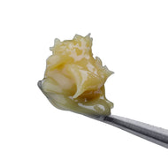 White Gold Live Rosin