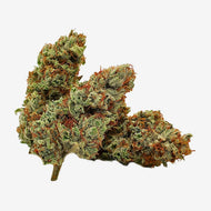 Mango Gold