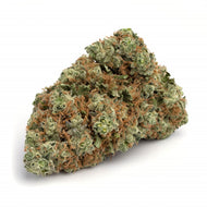 Hash Plant
