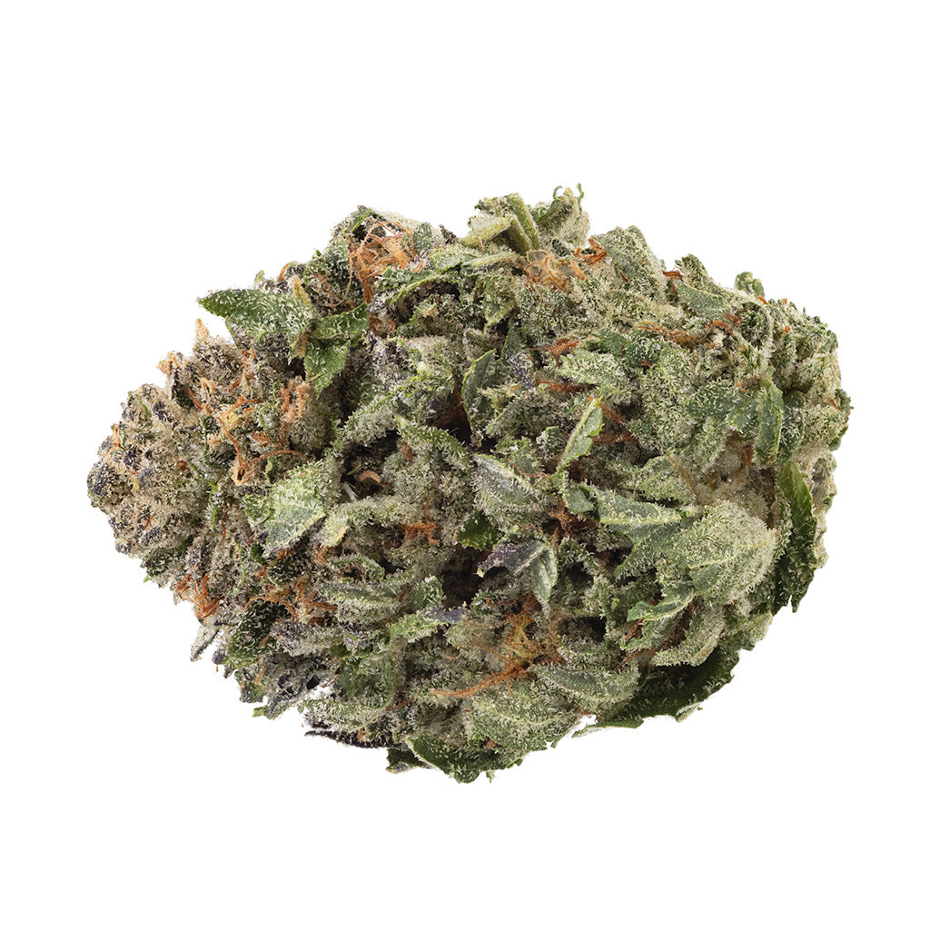 Comatose Organic