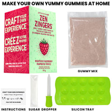 Load image into Gallery viewer, Gummy Candy Making Kit - Righteous Raspberry
