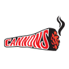 Cannons