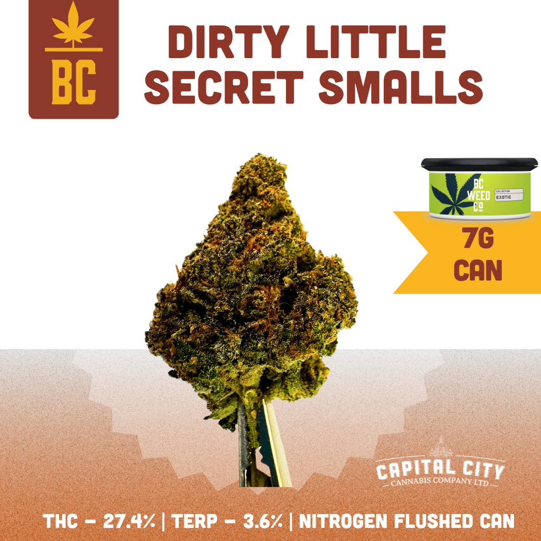 Dirty Little Secret (Smalls)