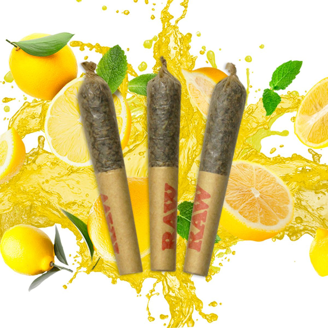 Dab Bods Limoncello Resin Infused Pre-Rolls
