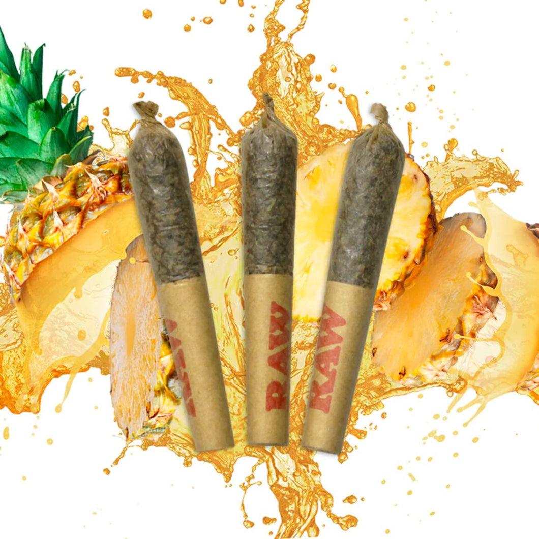 Dab Bods Pineapple Chunk Resin Infused Pre-Rolls