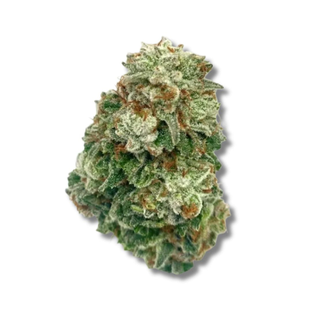 GG4 Chocolate Diesel Pheno