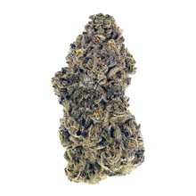 Load image into Gallery viewer, Gastro Pop
