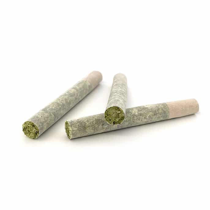 Geisha Breath 0.5 Gram Pre-Rolls