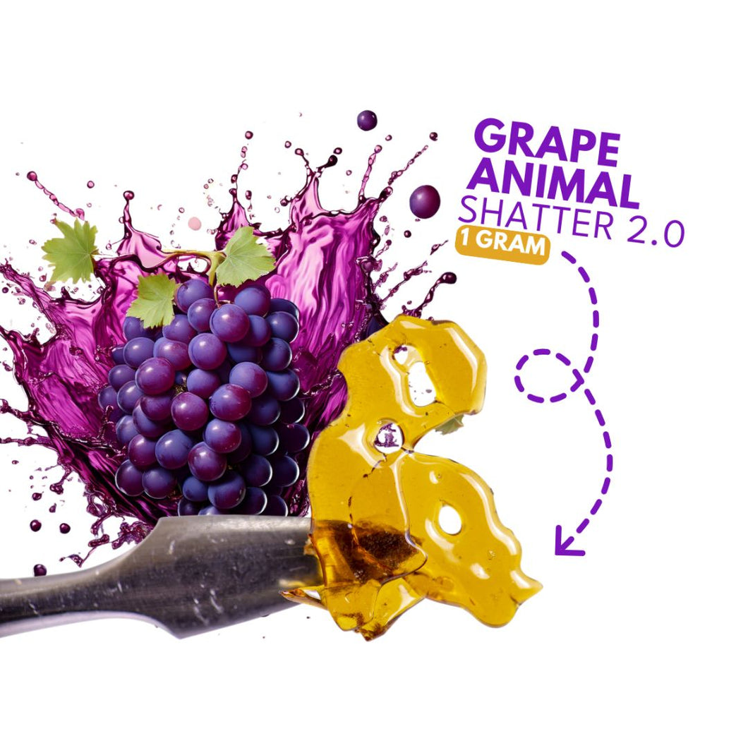 Grape Animal Shatter 2.0