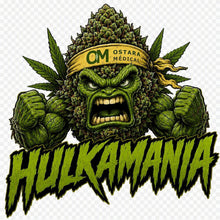 Load image into Gallery viewer, Hulkamania
