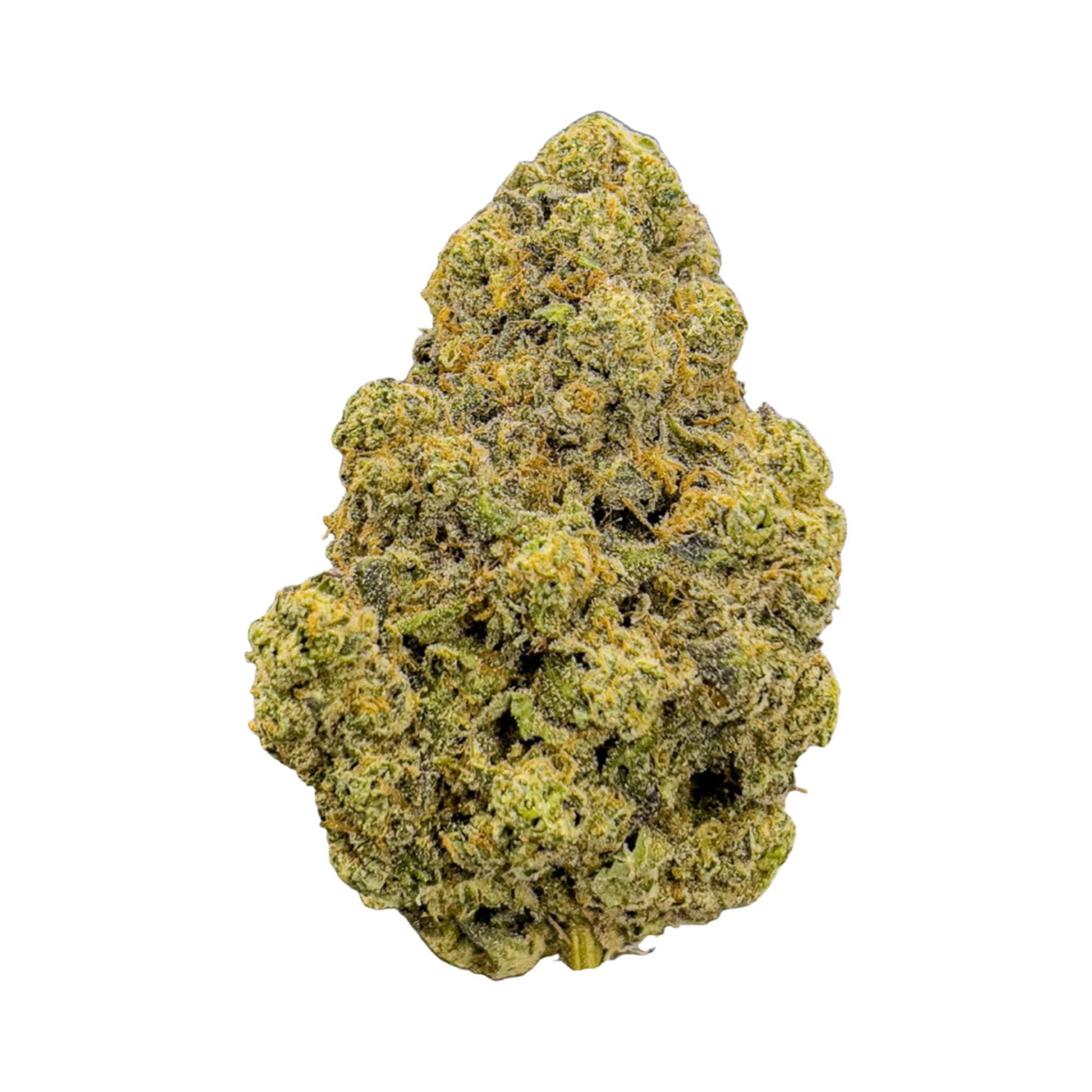 Lemon Meringue Whole Flower – Herbal Dispatch