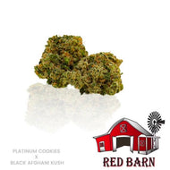 Platinum Cookies x Black Afghani Kush