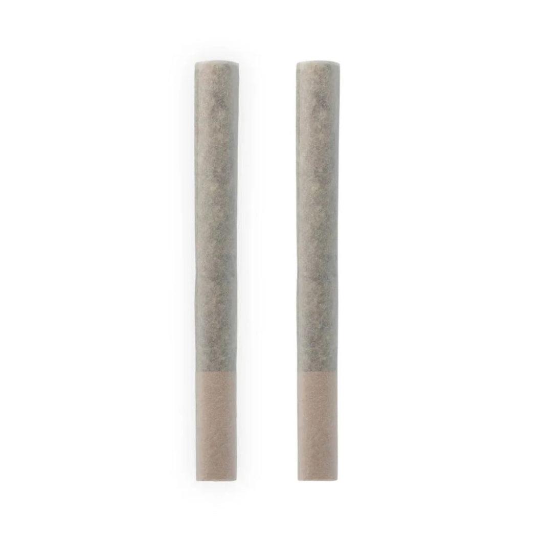 Romulan Timewarp Pre-Rolls