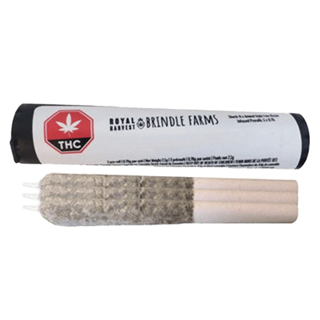 Sherb-O x Animal Infused Pre-Rolls
