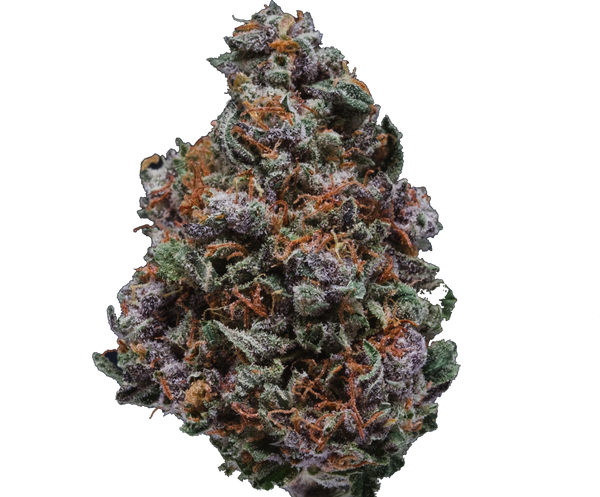 Do-Si-Dos – Herbal Dispatch