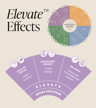 Load image into Gallery viewer, Elevate™- CBD Blackberry Lemon Gummy Drop
