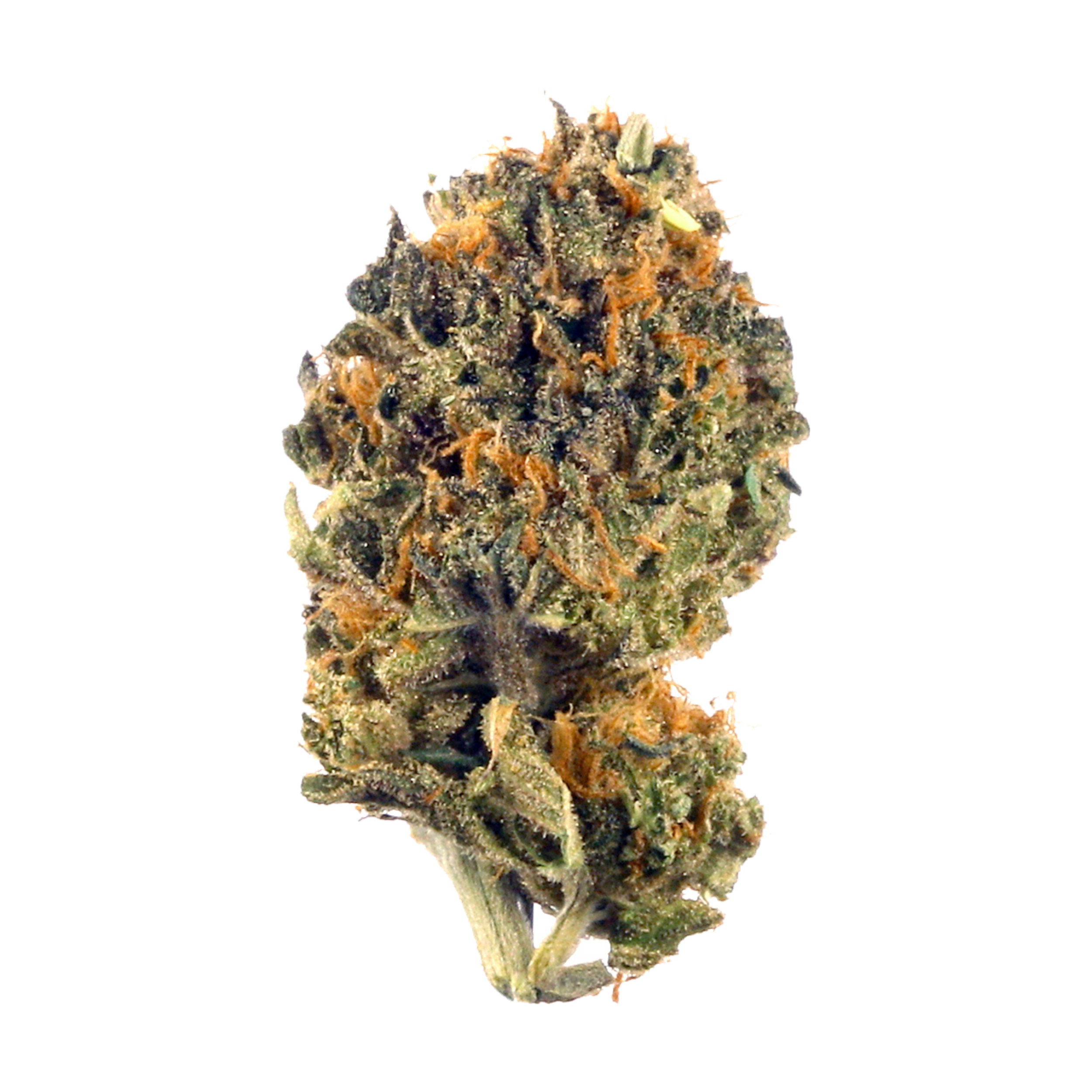 Grease Monkey Herbal Dispatch