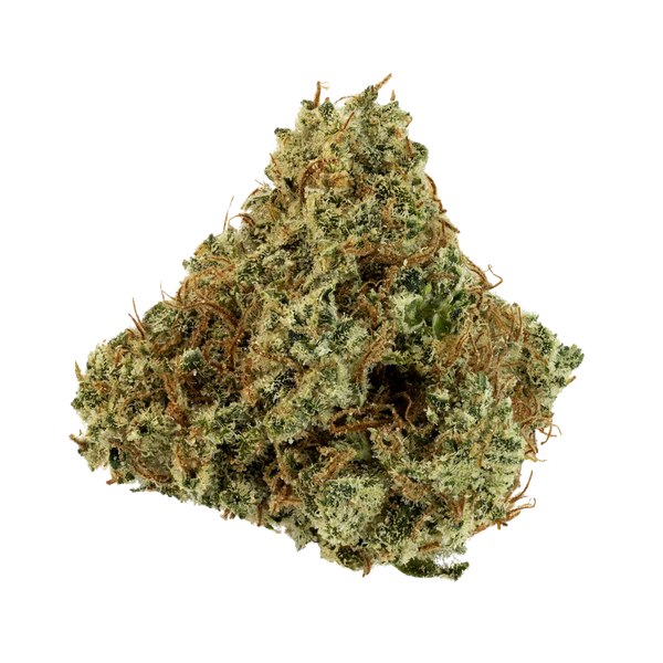 DazeD8: Mango Haze Live Resin THC-O Titanz Disposable — 2