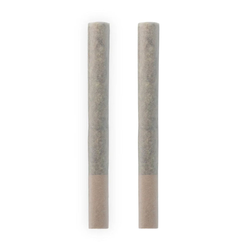 Avgas Pre-Rolls